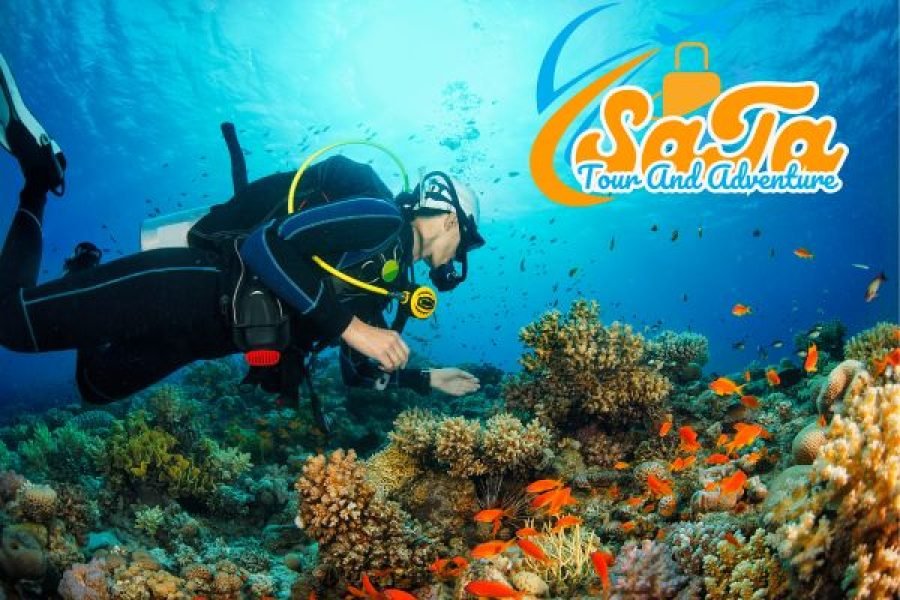 Hành Trình Du Thuyền Độc Bản: Khám Phá Vịnh Biển Huyền Ảo